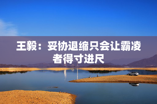 王毅：妥协退缩只会让霸凌者得寸进尺