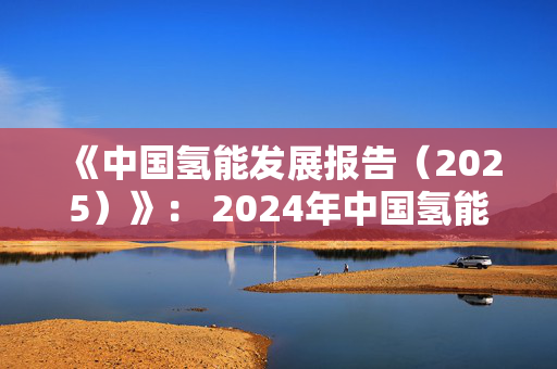 《中国氢能发展报告（2025）》： 2024年中国氢能全年生产消费规模世界第一