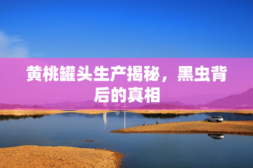 黄桃罐头生产揭秘，黑虫背后的真相