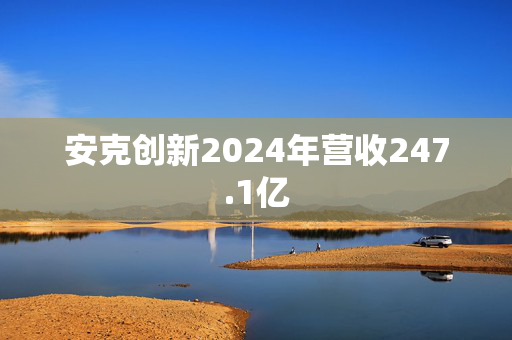 安克创新2024年营收247.1亿