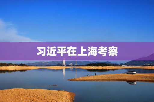 习近平在上海考察