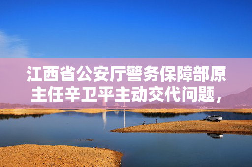 江西省公安厅警务保障部原主任辛卫平主动交代问题，正接受审查调查