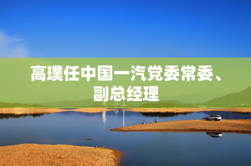 高璞任中国一汽党委常委、副总经理