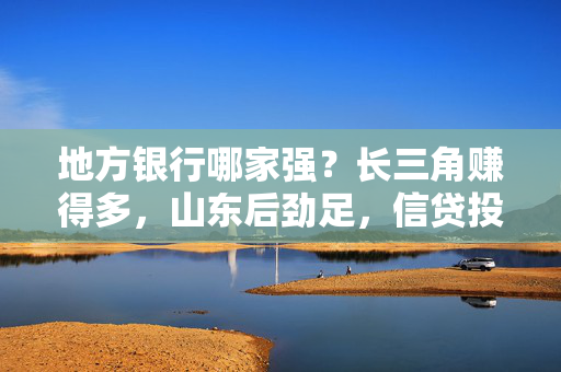 地方银行哪家强？长三角赚得多，山东后劲足，信贷投放有何侧重