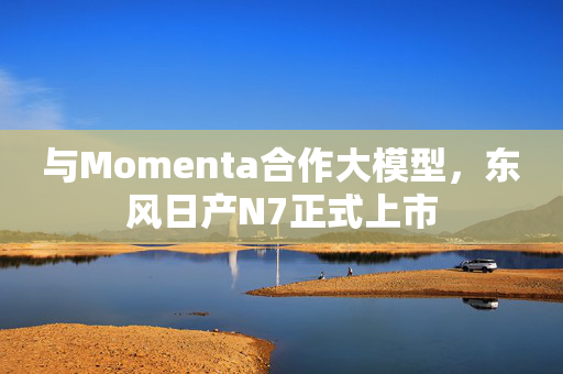 与Momenta合作大模型，东风日产N7正式上市