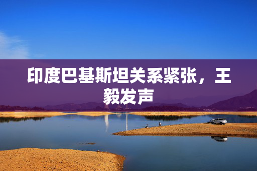 印度巴基斯坦关系紧张，王毅发声