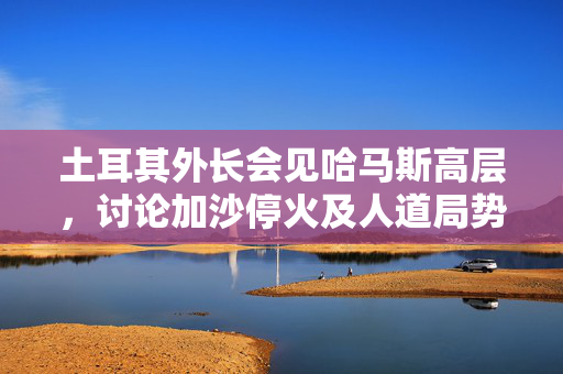 土耳其外长会见哈马斯高层，讨论加沙停火及人道局势