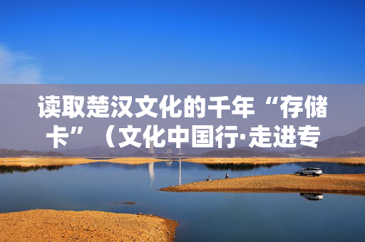 读取楚汉文化的千年“存储卡”（文化中国行·走进专题博物馆）