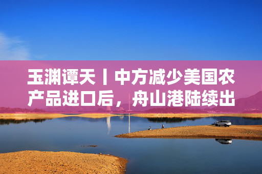 玉渊谭天丨中方减少美国农产品进口后，舟山港陆续出现巴西大豆船