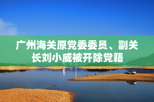 广州海关原党委委员、副关长刘小威被开除党籍
