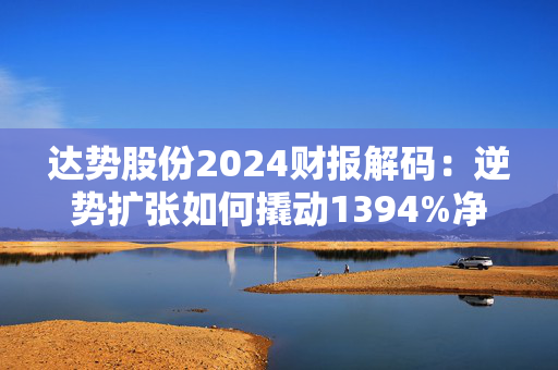 达势股份2024财报解码：逆势扩张如何撬动1394%净利跃升？