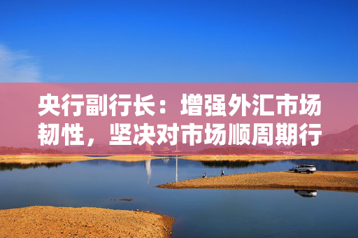 央行副行长：增强外汇市场韧性，坚决对市场顺周期行为进行纠偏