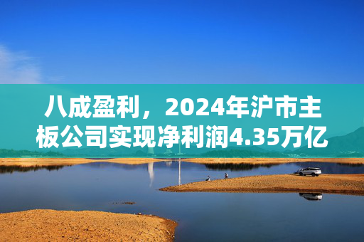 八成盈利，2024年沪市主板公司实现净利润4.35万亿元