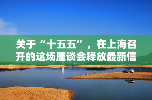 关于“十五五”，在上海召开的这场座谈会释放最新信号