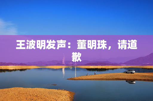 王波明发声：董明珠，请道歉