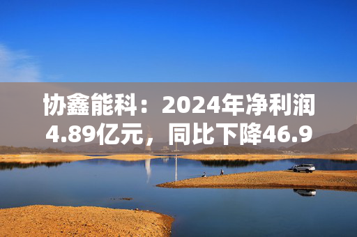 协鑫能科：2024年净利润4.89亿元，同比下降46.92%