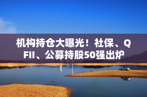 机构持仓大曝光！社保、QFII、公募持股50强出炉