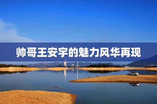 帅哥王安宇的魅力风华再现