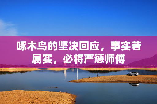 啄木鸟的坚决回应，事实若属实，必将严惩师傅