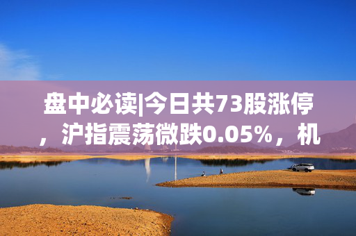 盘中必读|今日共73股涨停，沪指震荡微跌0.05%，机器人、PEEK材料概念股大涨