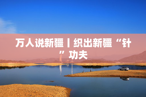 万人说新疆丨织出新疆“针”功夫
