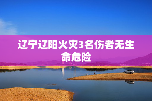 辽宁辽阳火灾3名伤者无生命危险
