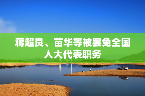 蒋超良、苗华等被罢免全国人大代表职务