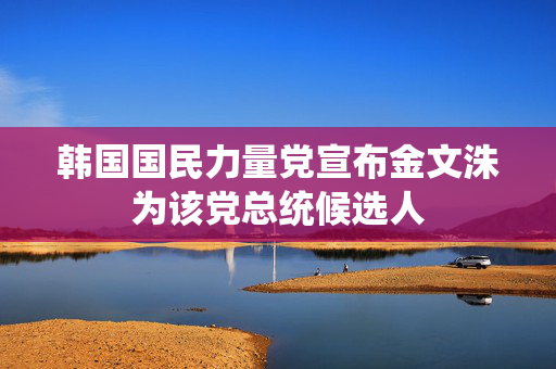 韩国国民力量党宣布金文洙为该党总统候选人