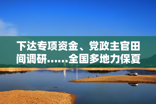 下达专项资金、党政主官田间调研……全国多地力保夏粮稳收
