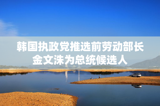韩国执政党推选前劳动部长金文洙为总统候选人