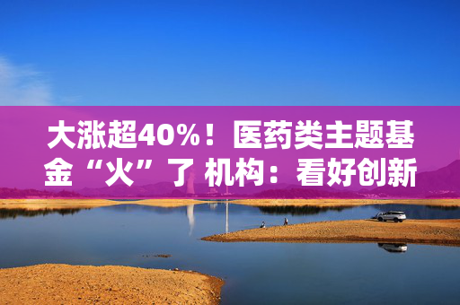 大涨超40%！医药类主题基金“火”了 机构：看好创新药投资机会