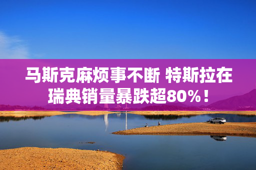 马斯克麻烦事不断 特斯拉在瑞典销量暴跌超80%！