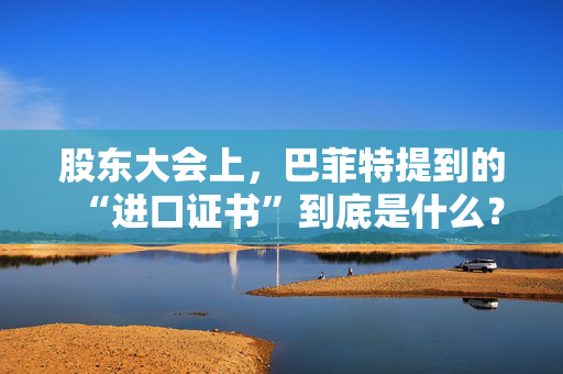 股东大会上，巴菲特提到的“进口证书”到底是什么？