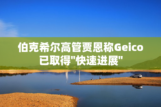 伯克希尔高管贾恩称Geico已取得