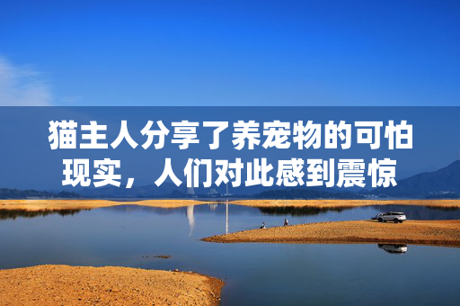 猫主人分享了养宠物的可怕现实，人们对此感到震惊