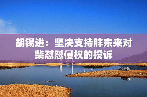 胡锡进：坚决支持胖东来对柴怼怼侵权的投诉