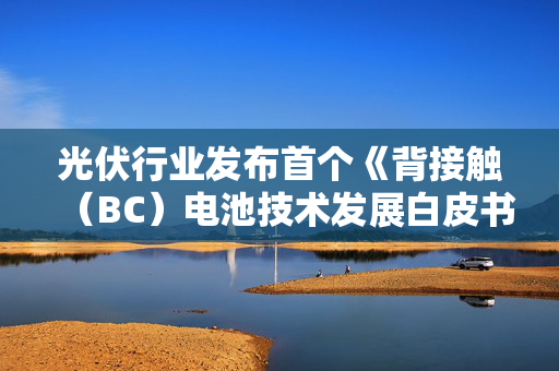 光伏行业发布首个《背接触（BC）电池技术发展白皮书》