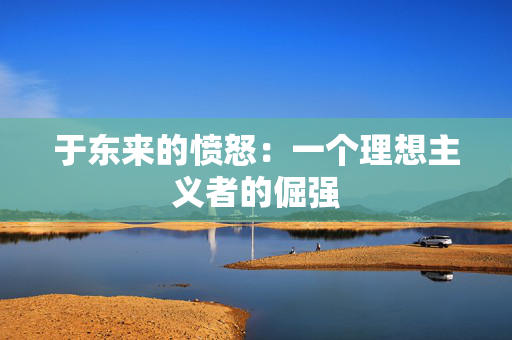 于东来的愤怒：一个理想主义者的倔强