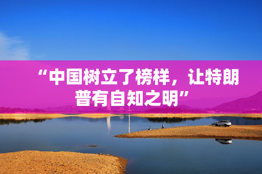 “中国树立了榜样，让特朗普有自知之明”