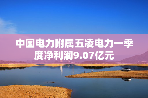中国电力附属五凌电力一季度净利润9.07亿元