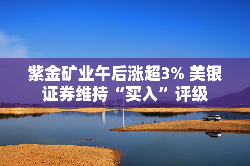 紫金矿业午后涨超3% 美银证券维持“买入”评级