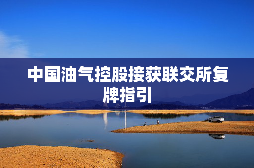 中国油气控股接获联交所复牌指引