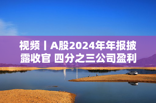 视频丨A股2024年年报披露收官 四分之三公司盈利