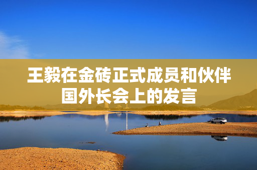 王毅在金砖正式成员和伙伴国外长会上的发言