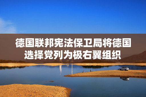 德国联邦宪法保卫局将德国选择党列为极右翼组织