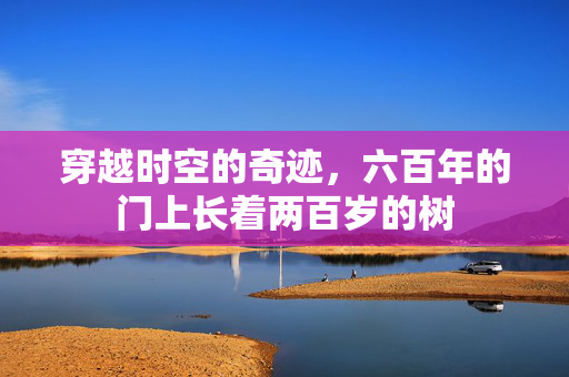 穿越时空的奇迹，六百年的门上长着两百岁的树
