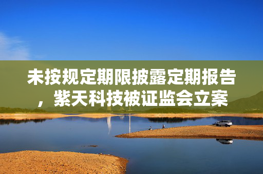 未按规定期限披露定期报告，紫天科技被证监会立案