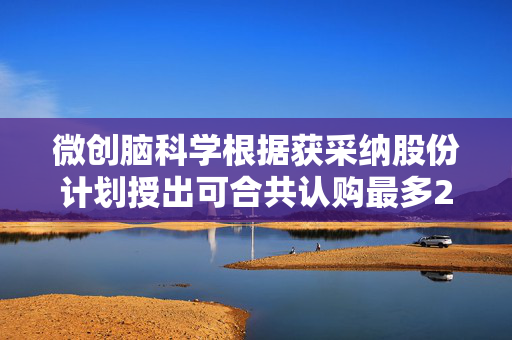 微创脑科学根据获采纳股份计划授出可合共认购最多244.5万股的购股权