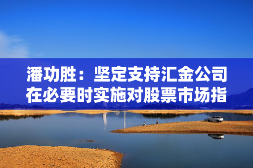 潘功胜：坚定支持汇金公司在必要时实施对股票市场指数基金的增持