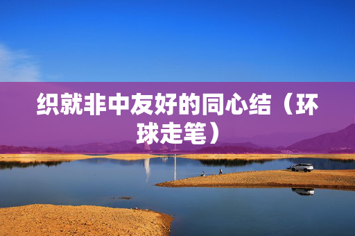 织就非中友好的同心结（环球走笔）